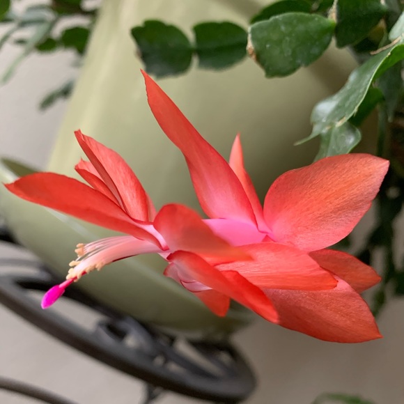 Welcome! ☺️ - Picture 1 of 1